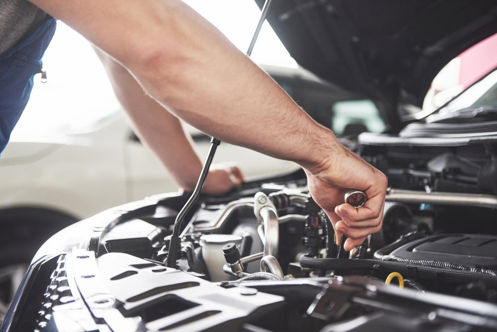 Schedule a Professional Tune-Up
