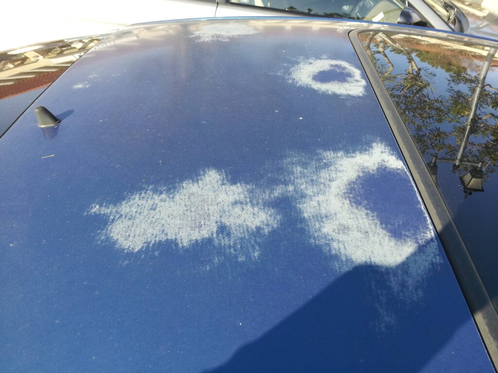 Sun Damage Car Paint